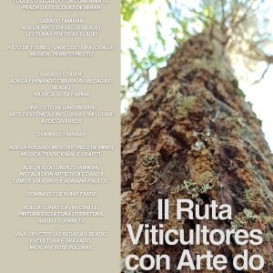 2ª ruta viticultores con arte del Ribeiro