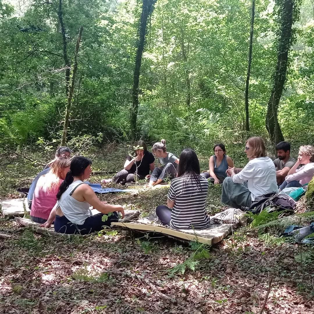 botánica Educación medioambiental Ribeirolandart