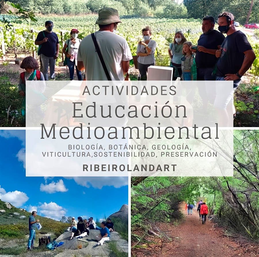 educacion-medioambiental educación medioambiental