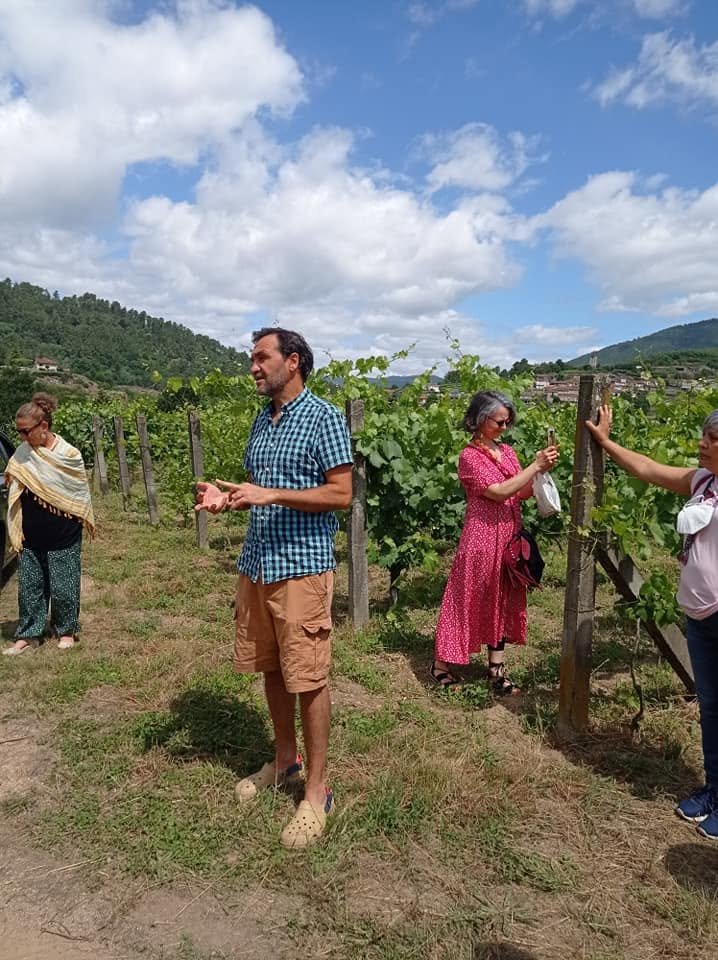 tallerviticulturasostenible Educación medioambiental Ribeirolandart
